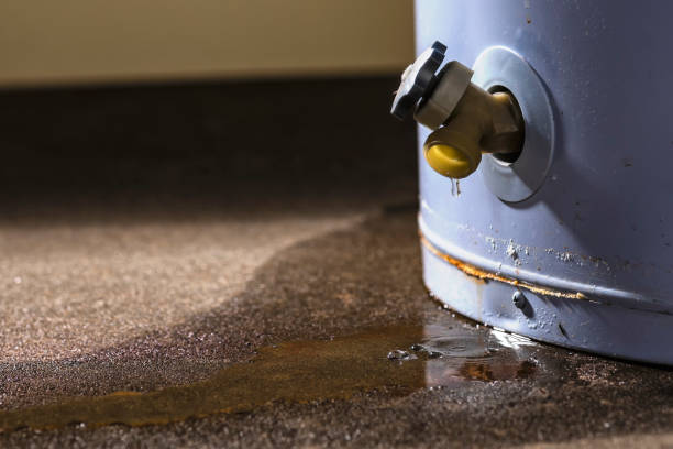 Best Mold removal after water damage  in Cottonwood Shores, TX