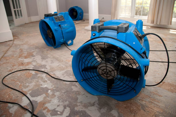 Best 24-hour water damage restoration  in Cottonwood Shores, TX