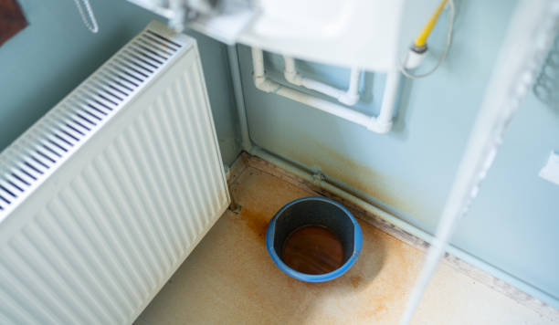 Best Professional water damage repair  in Cottonwood Shores, TX